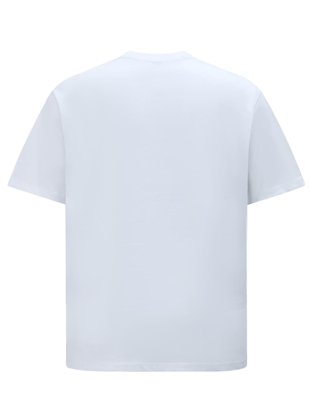 Unisex Heavy Cotton Oversized Tee [53-TS50]