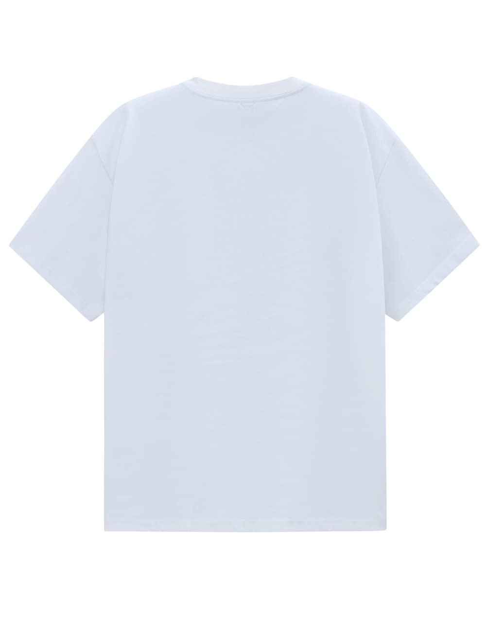 Unisex Heavy Cotton Oversized Tee [53-TS50]
