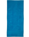 Terry Velour Beach Towel [53-TW04A]