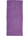 Terry Velour Beach Towel [53-TW04A]