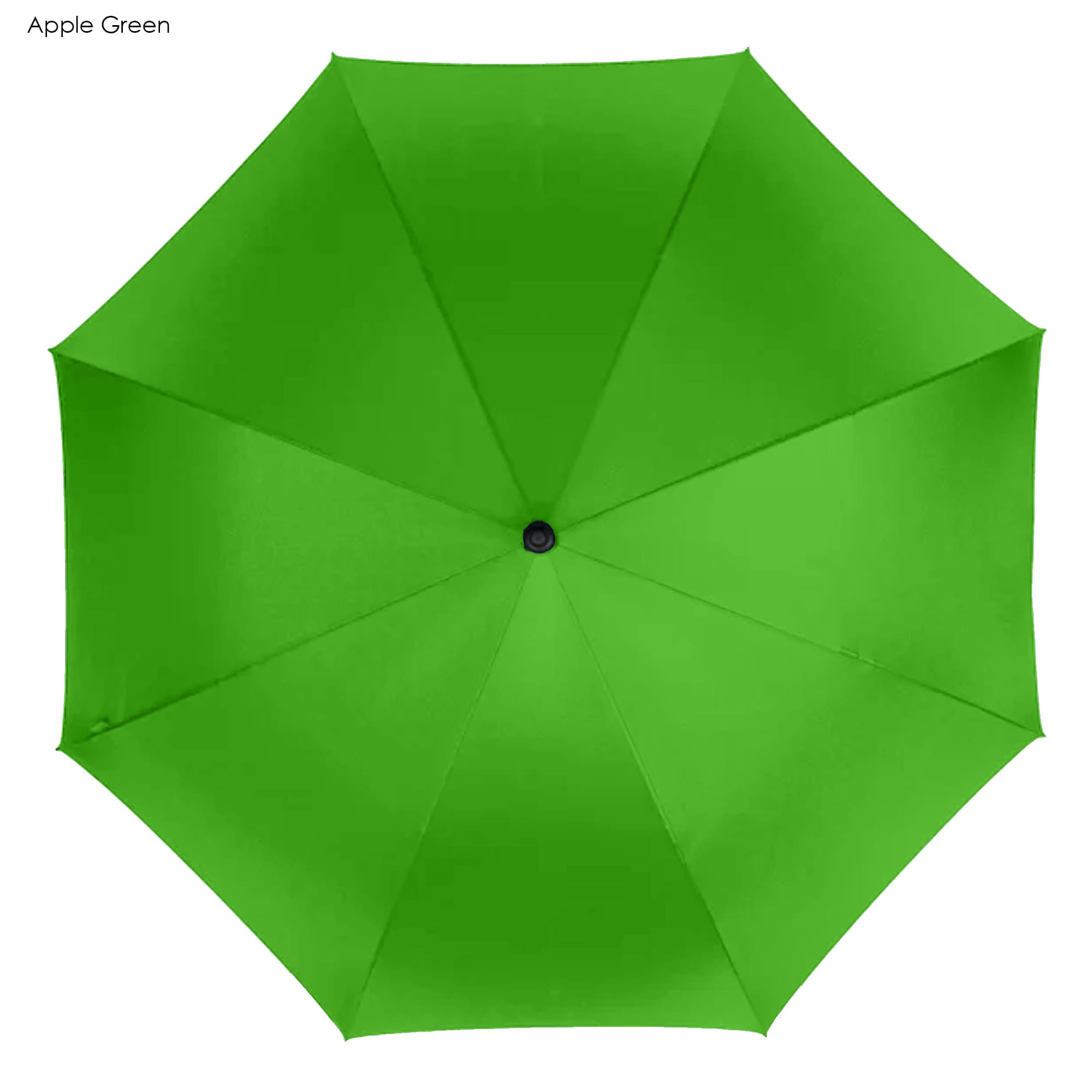 Sands Umbrella [19-UM001]