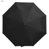 Windsor Umbrella [19-UM007]
