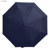 Windsor Umbrella [19-UM007]